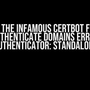 Solving the Infamous Certbot Failed to Authenticate Domains Error (authenticator: standalone)